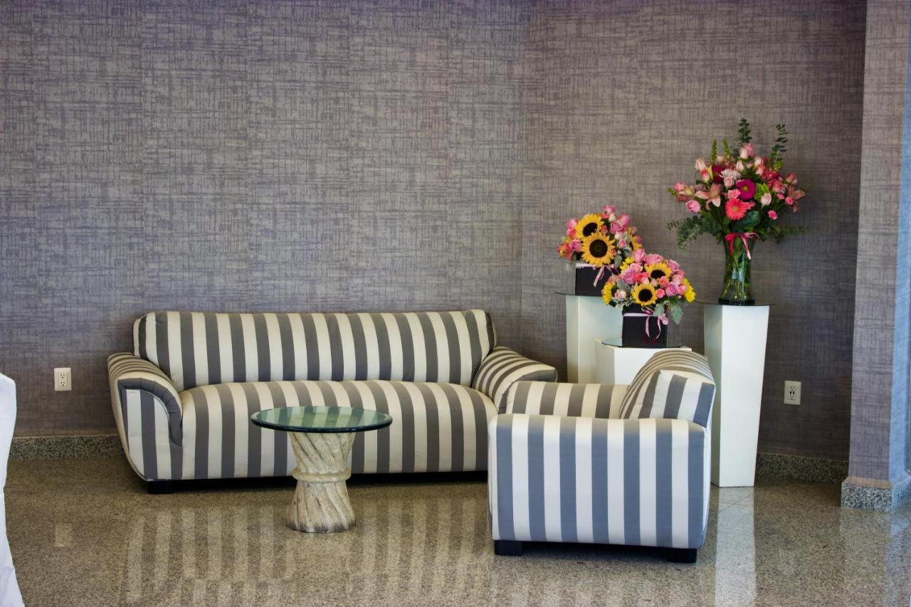 San Juan Park Hotel San Juan del Río Dış mekan fotoğraf A sofa and armchair