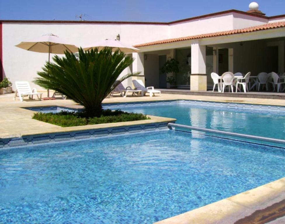 San Juan Park Hotel San Juan del Río Dış mekan fotoğraf A swimming pool